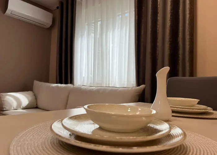 Smart , Lovely In Tirana